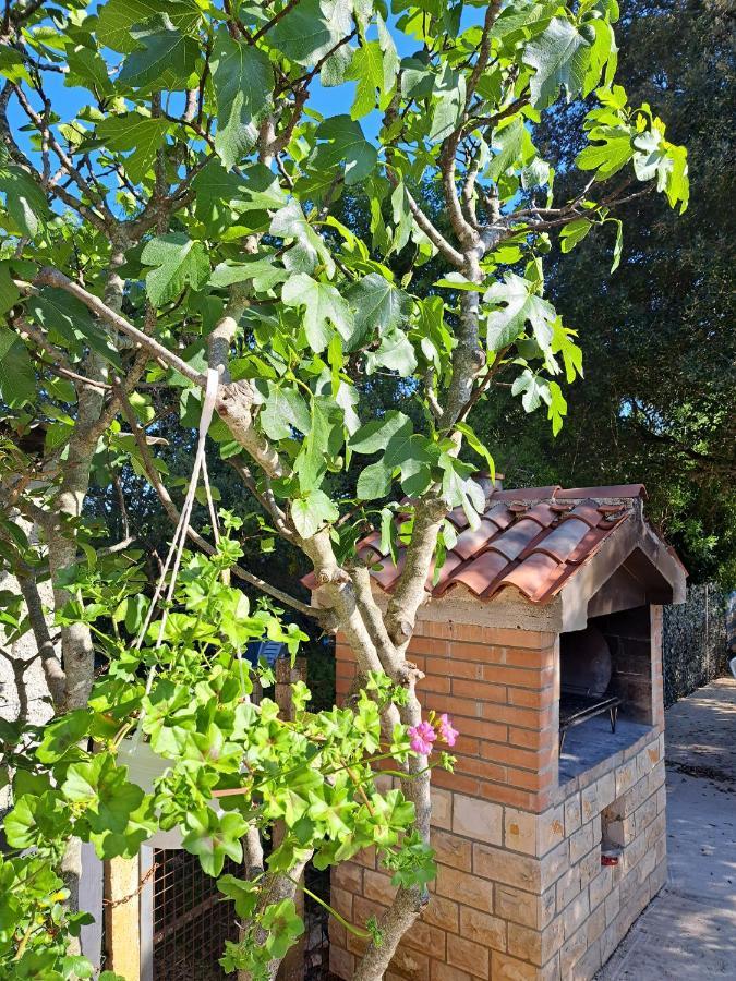 Apartman Melita Galižana Kültér fotó